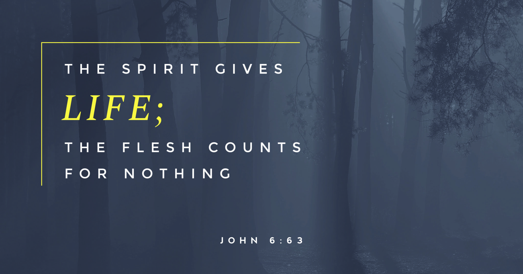 A picture of a forest with the text "The spirit gives life; the flesh counts for nothing. John 6:63"
