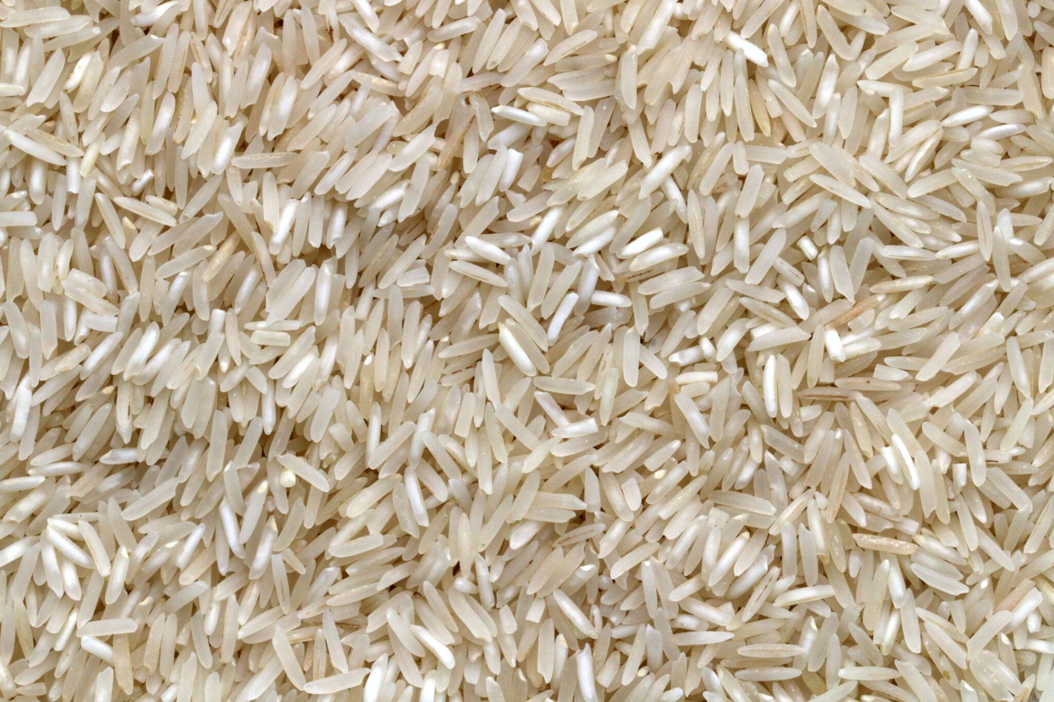 A close up of rice